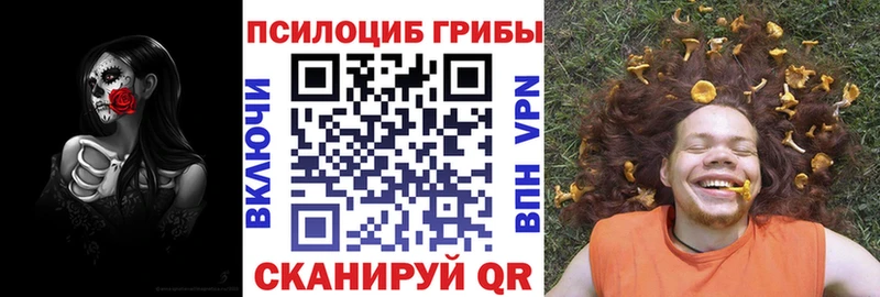 наркотики  Верхнеуральск  Галлюциногенные грибы Psilocybe 